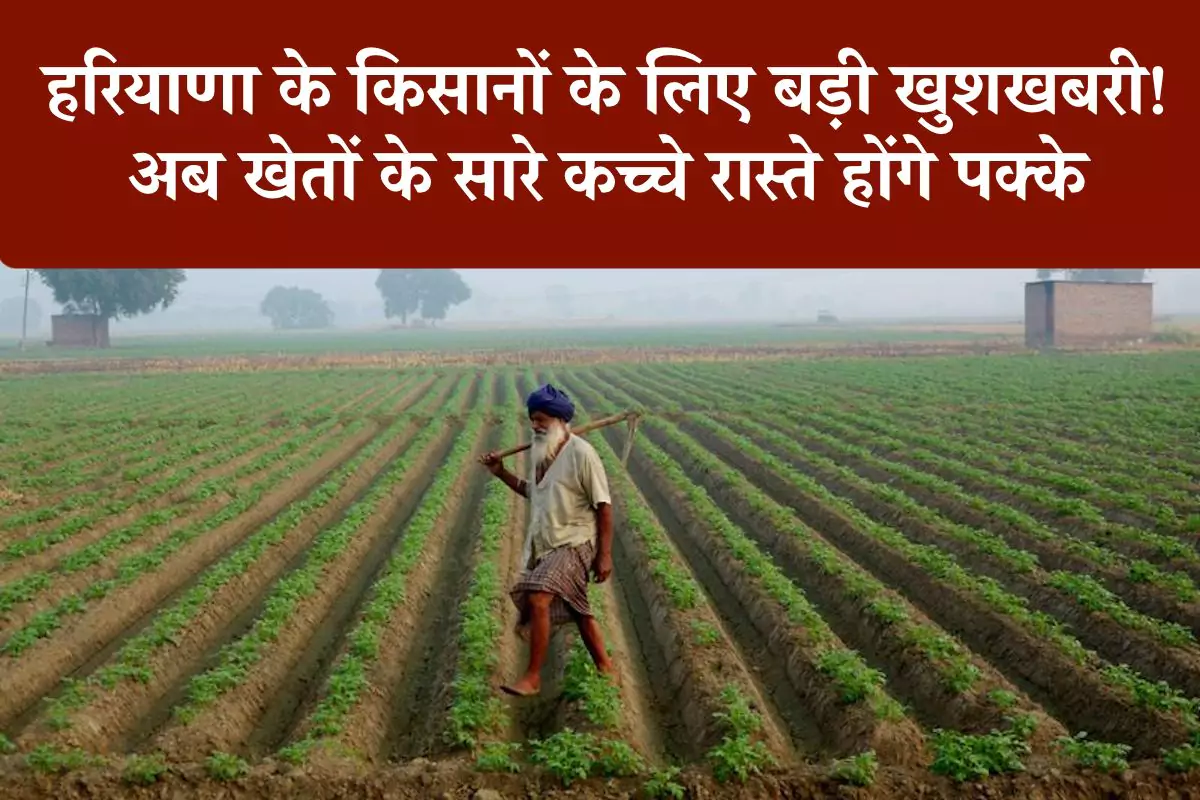 हरियाणा