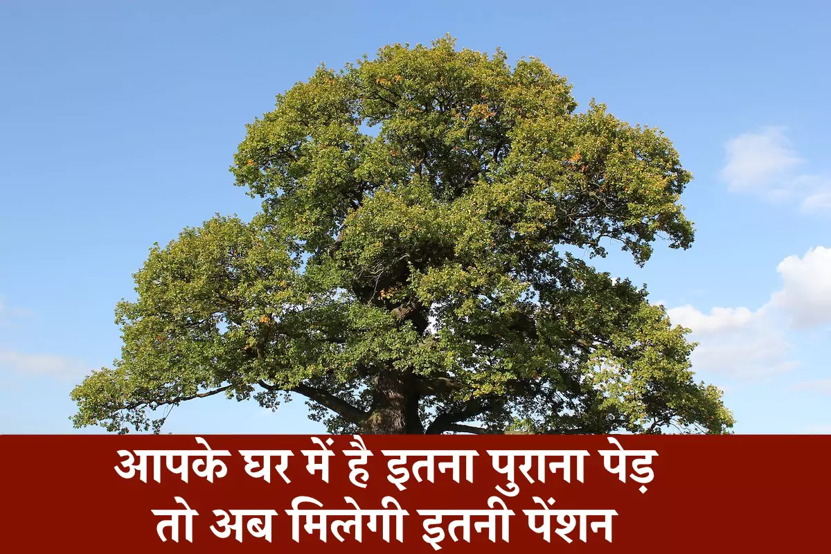 हरियाणा