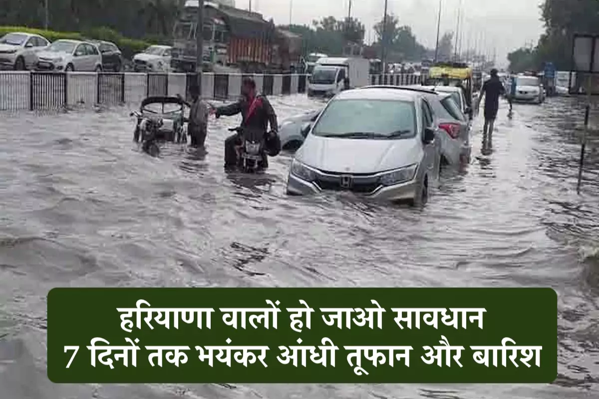 Haryana Weather Update