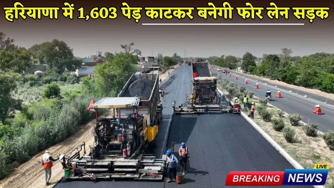 A four-lane road will be built in Haryana by cutting 1,603 trees