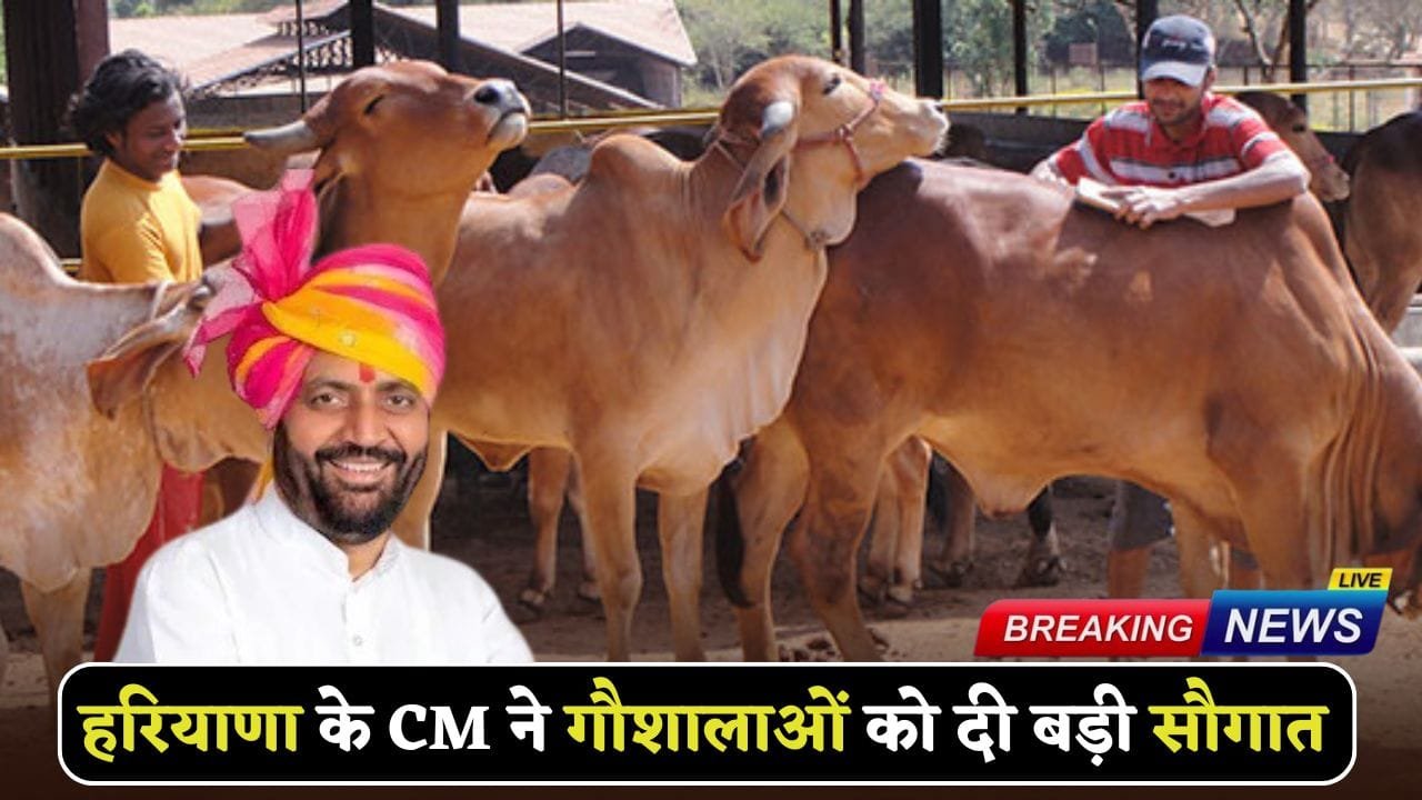 Haryana CM gave a big gift to cow shelters
