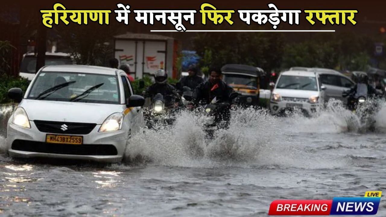 Monsoon will gain speed again in Haryana