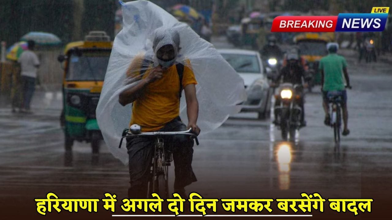 There will be heavy rains in Haryana for the next two days