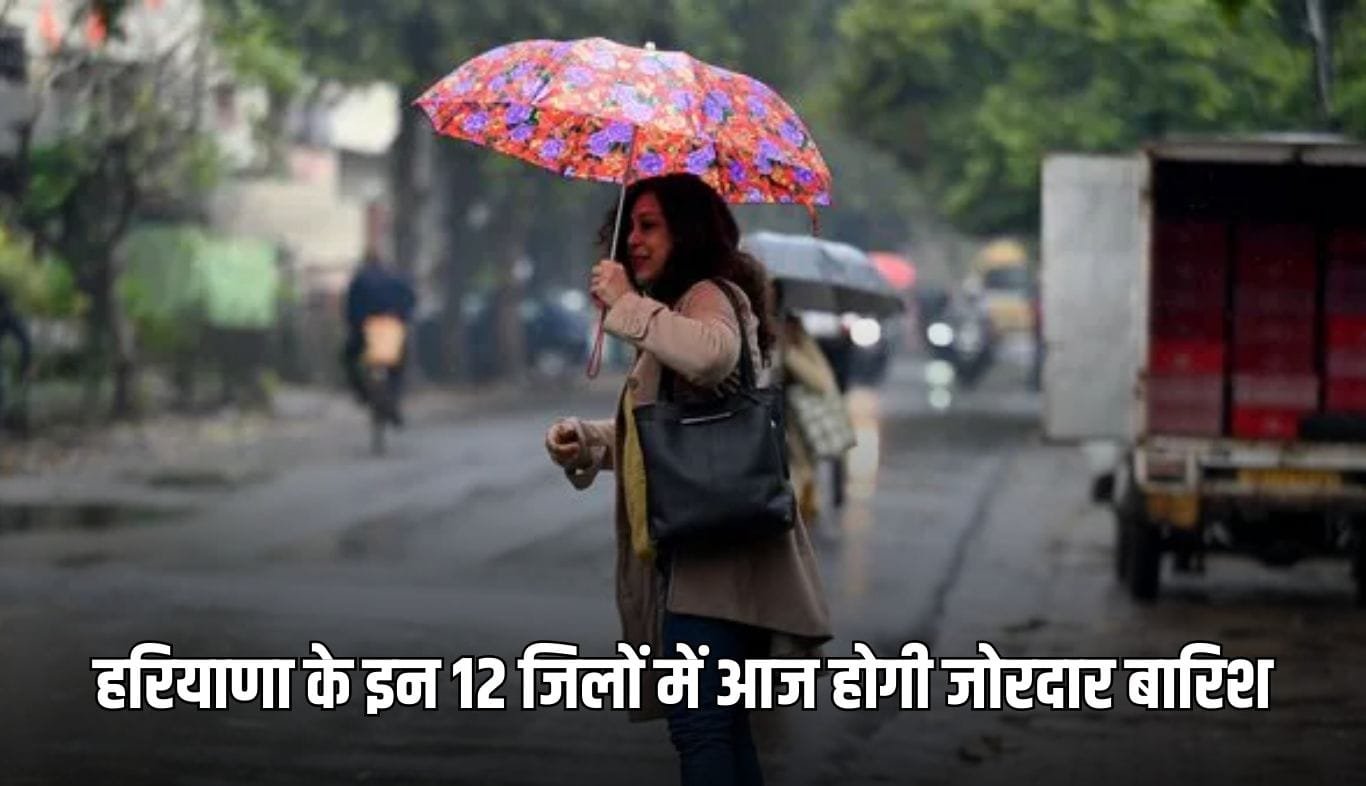 There will be heavy rain in these 12 districts of Haryana today