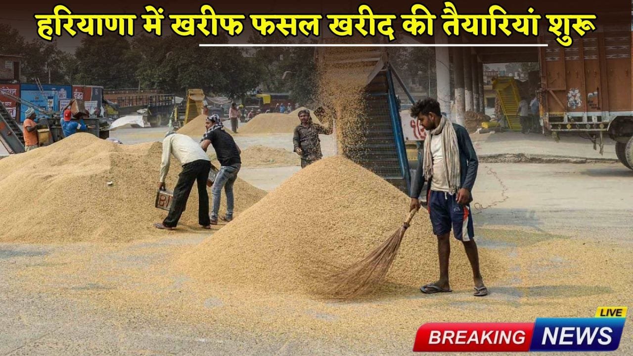 Preparations for Kharif crop procurement begin in Haryana