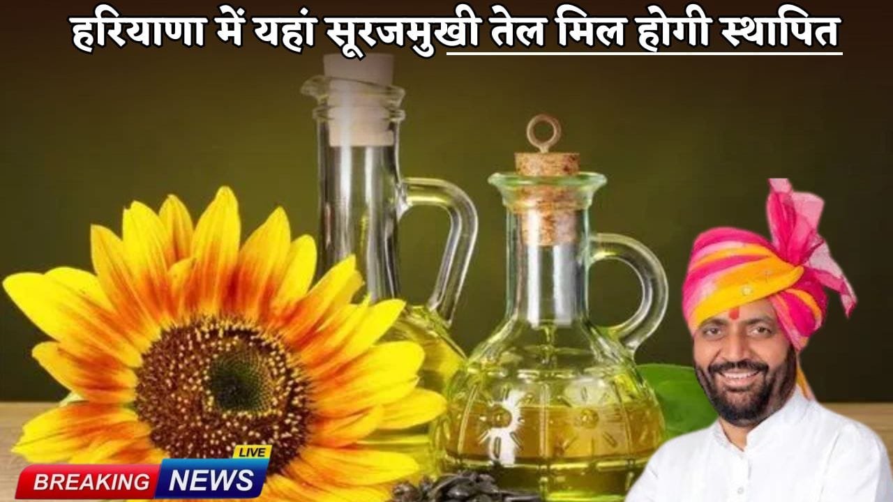 Sunflower oil mill will be established here in Haryana (1)