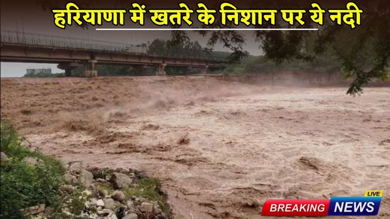 This river is at danger mark in Haryana