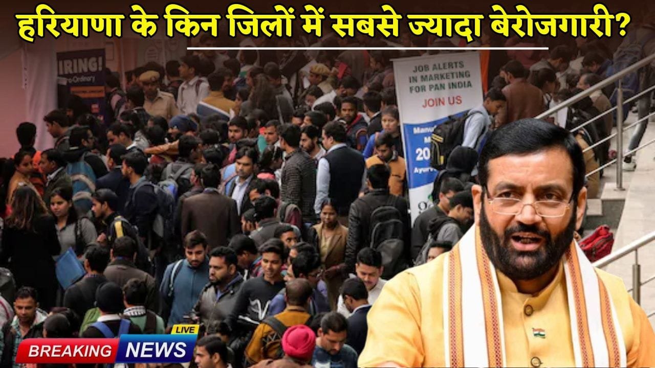 Which districts of Haryana have the highest unemployment?