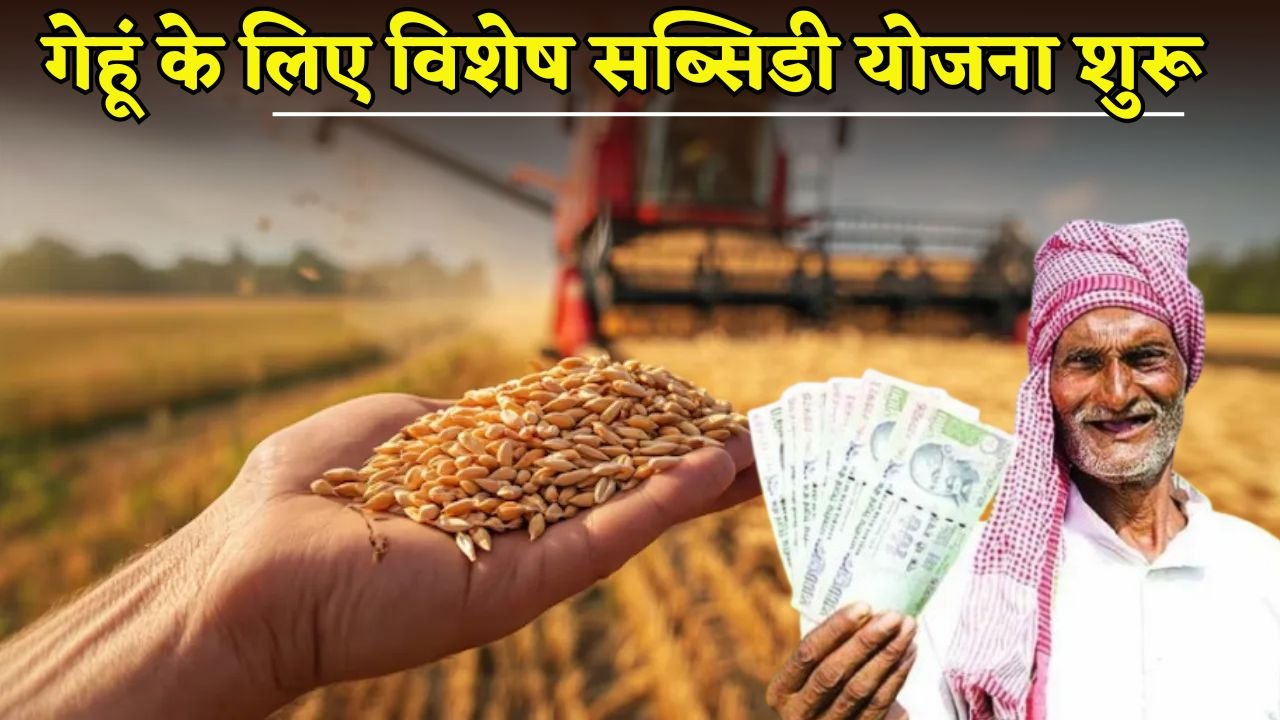 Special subsidy scheme launched for farmers of Haryana