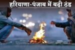 Cold increased in Haryana-Punjab