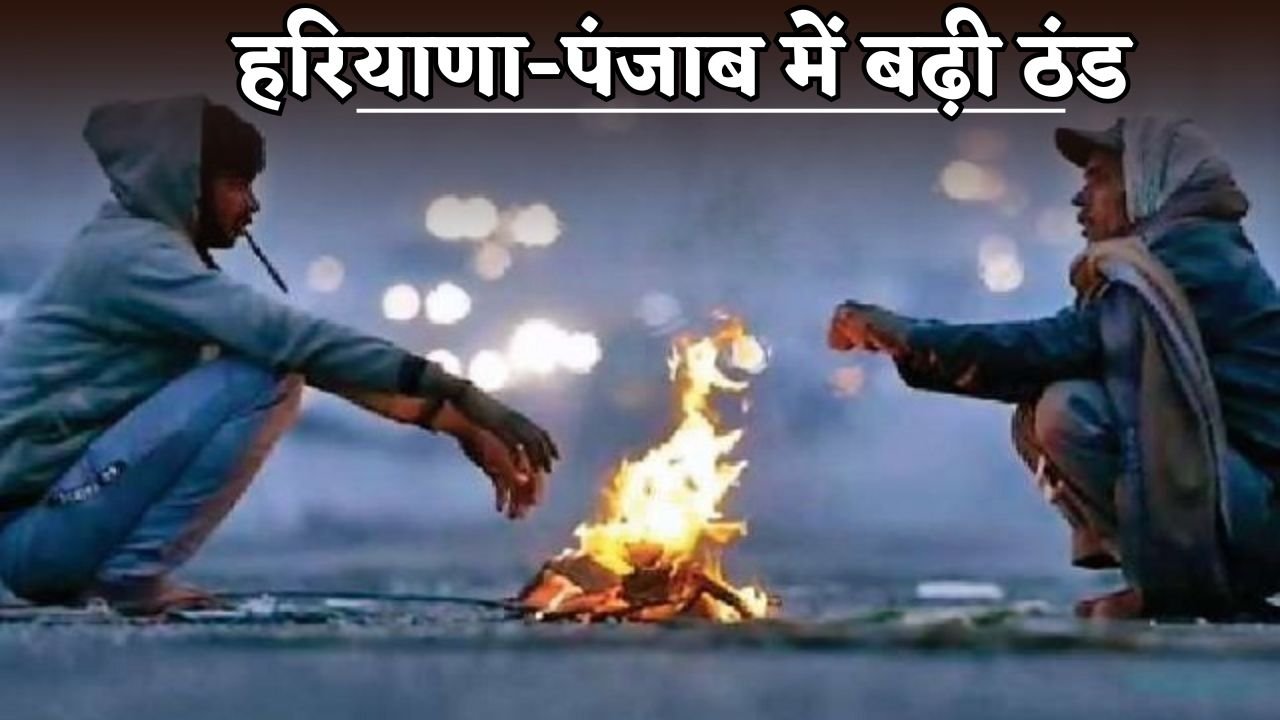 Cold increased in Haryana-Punjab