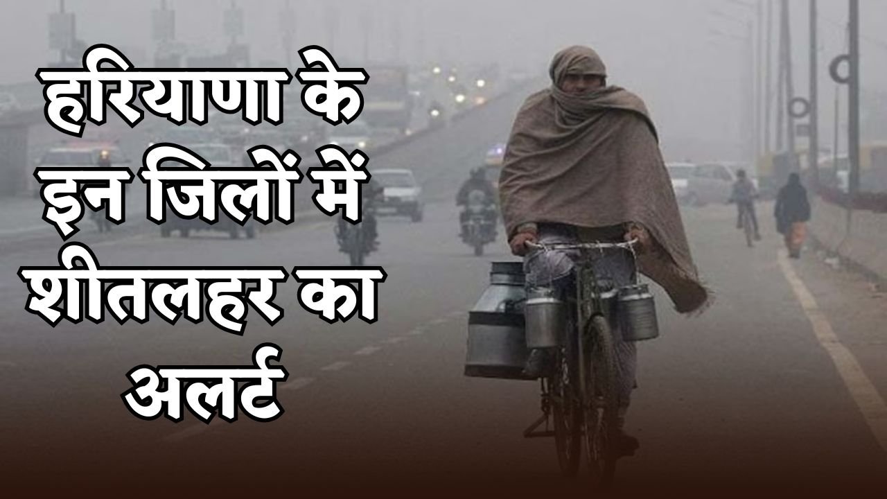Cold wave alert in these districts of Haryana