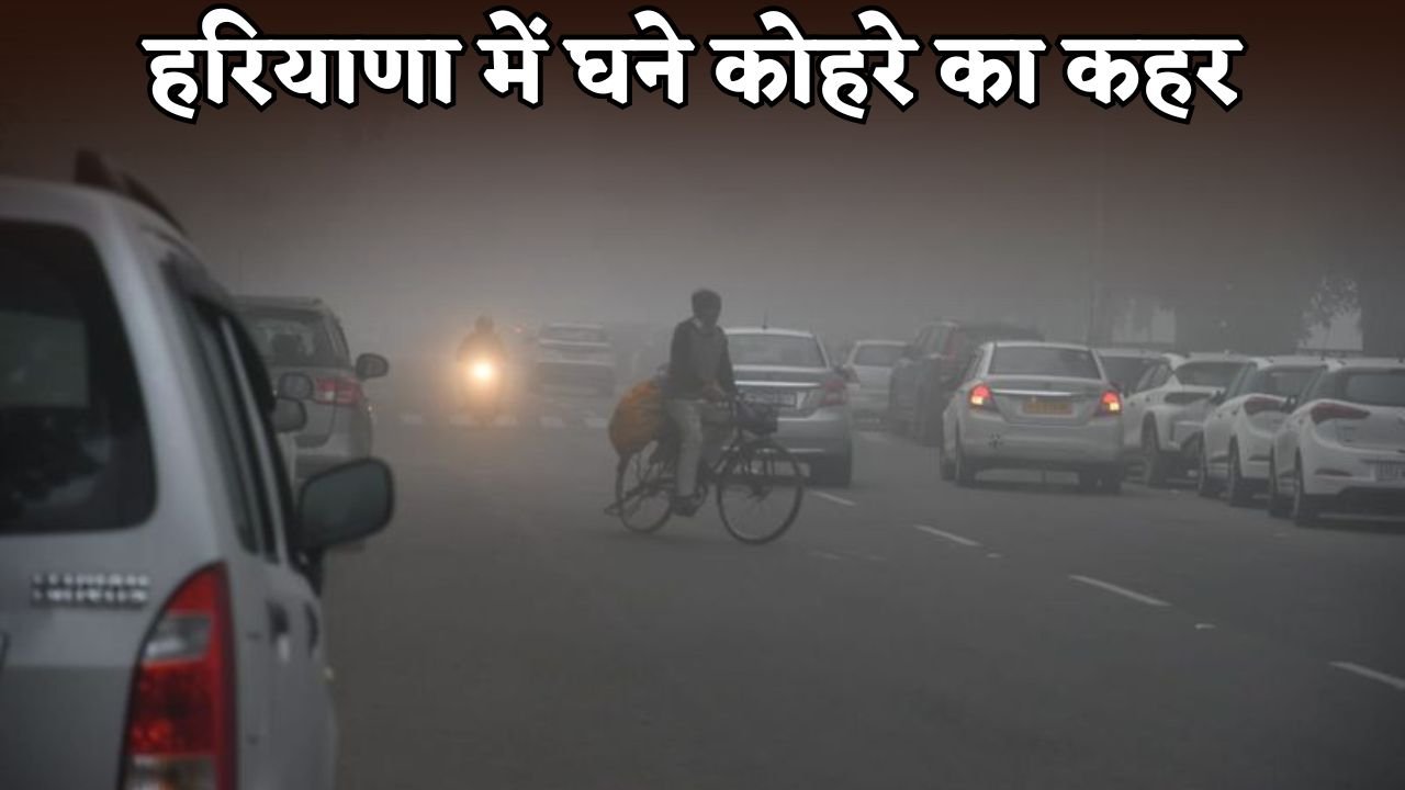 Dense fog wreaks havoc in Haryana.