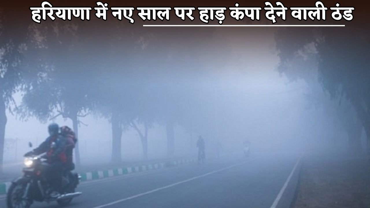 Haryana experiences bone-chilling cold on New Year's Day.