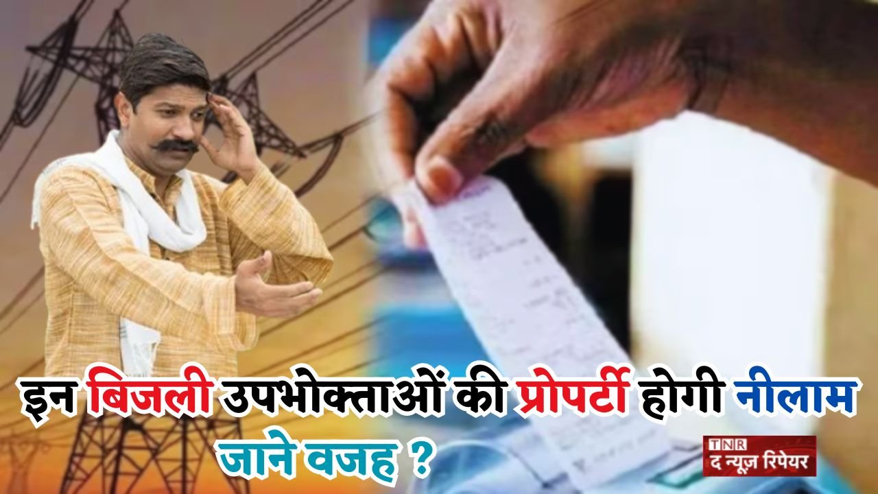 The properties of these electricity consumers in Haryana will be auctioned