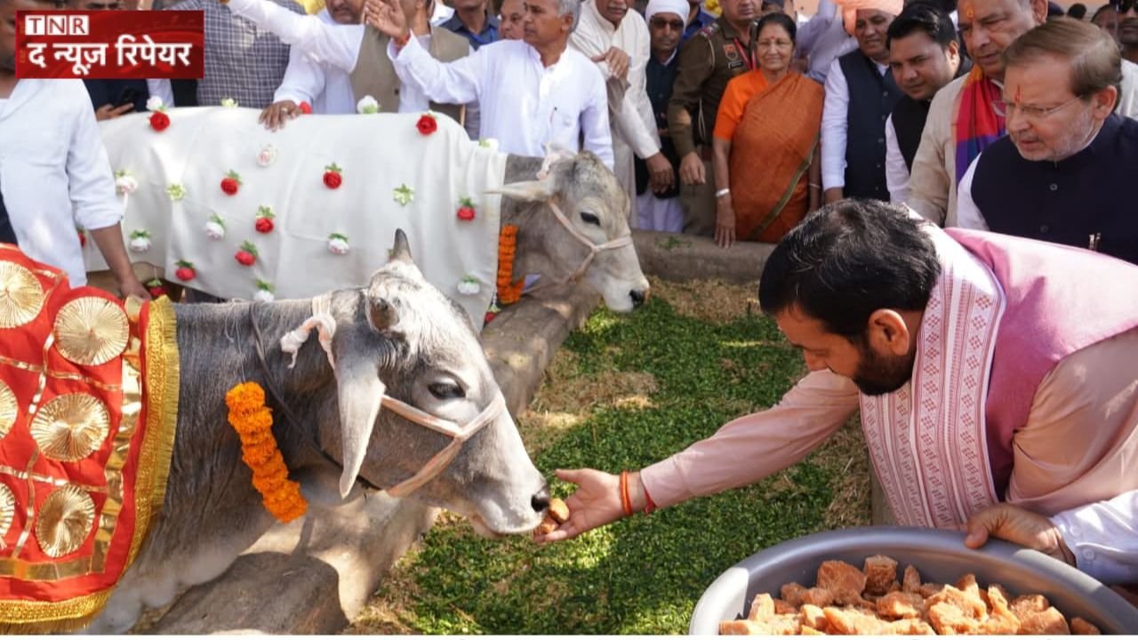 602 registered cow shelters in Haryana received this gift